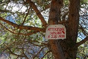 29 per il capanno...